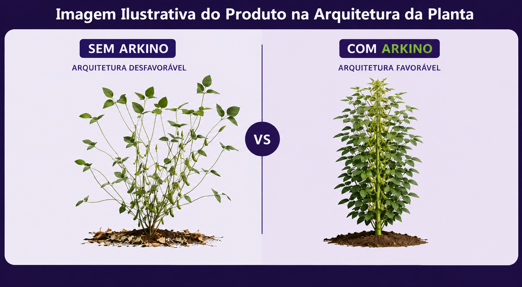 Comparativo: efeito do Arkino na arquitetura da planta — sem Arkino vs. com Arkino