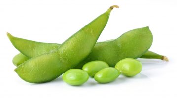 green soybeans on white background